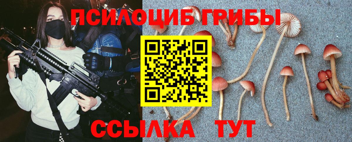 Псилоцибиновые грибы мухоморы  Галлюциногенные грибы Psilocybine cubensis  Вход с VPN  Чебаркуль 
