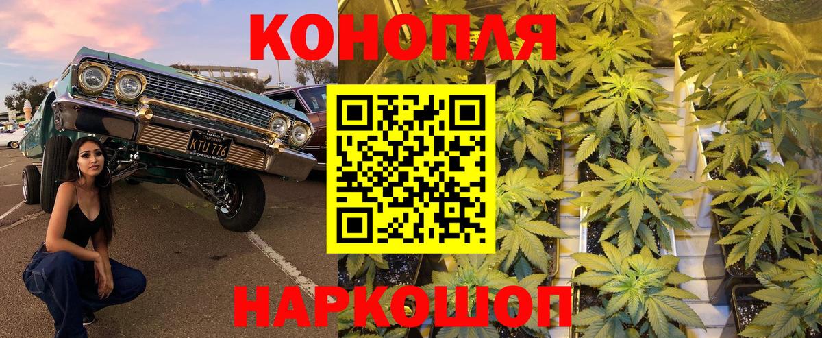 Шишки марихуана Amnesia  Вход с VPN  Чебаркуль  Шишки марихуана Bruce Banner 